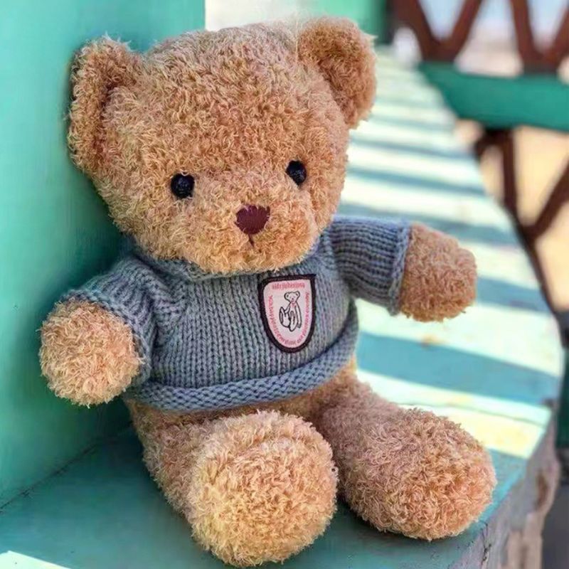 Hình gấu bông GBPPR01