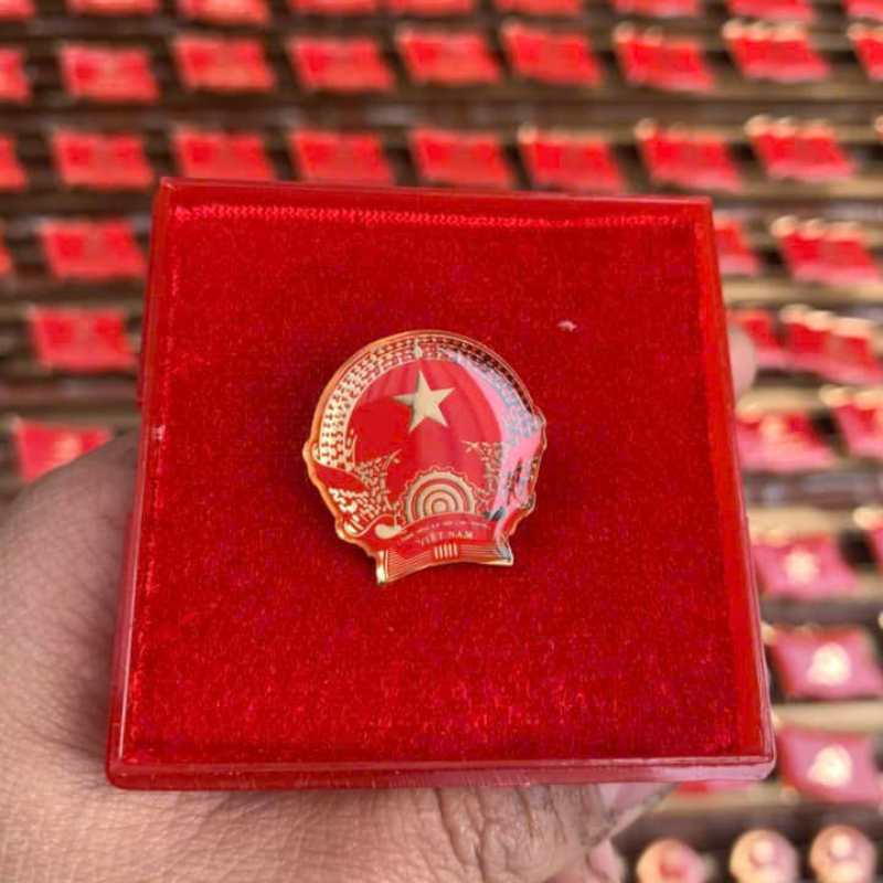 Pin Cài Áo Kim Loại Đúc Logo Theo Yêu Cầu | BTPPR05