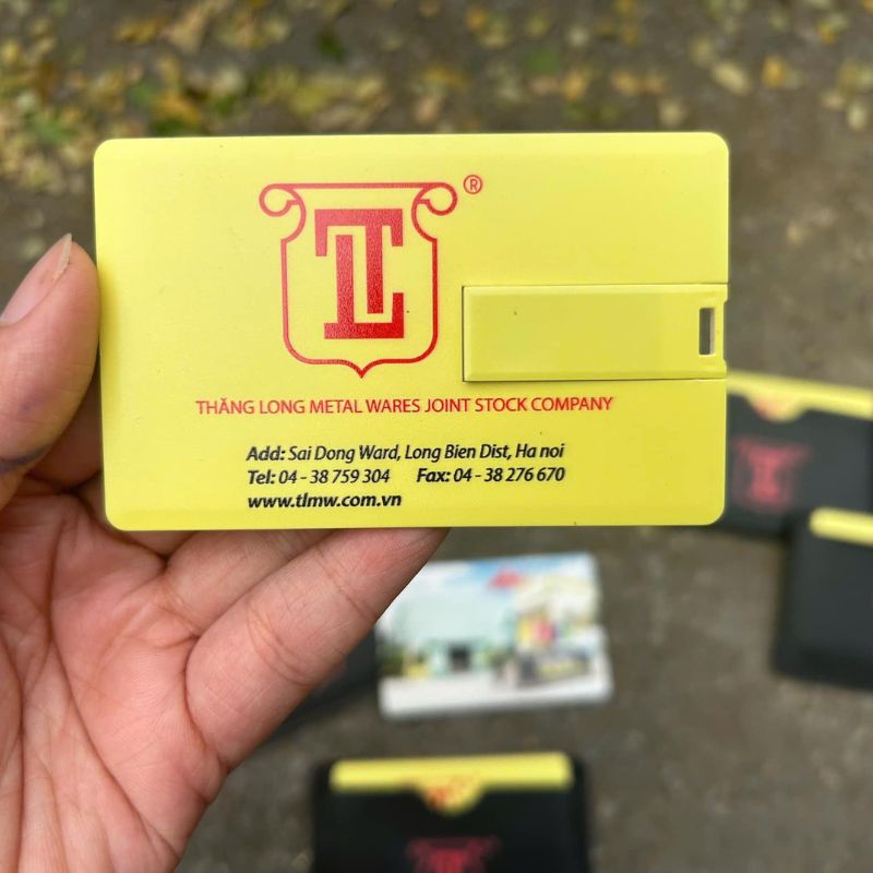 USB Thẻ ATM In Tràn Màu USBPPR06