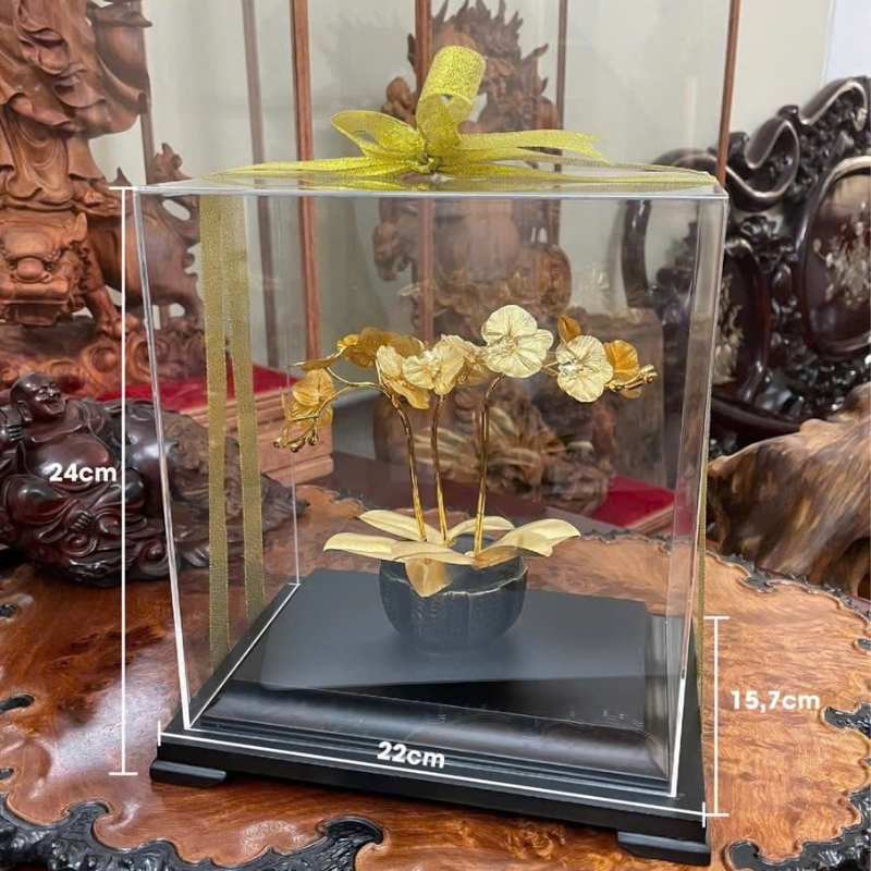 Cây Bonsai Mạ Vàng Cao Cấp Quà Tặng Doanh Nghiệp | QCCPPR07