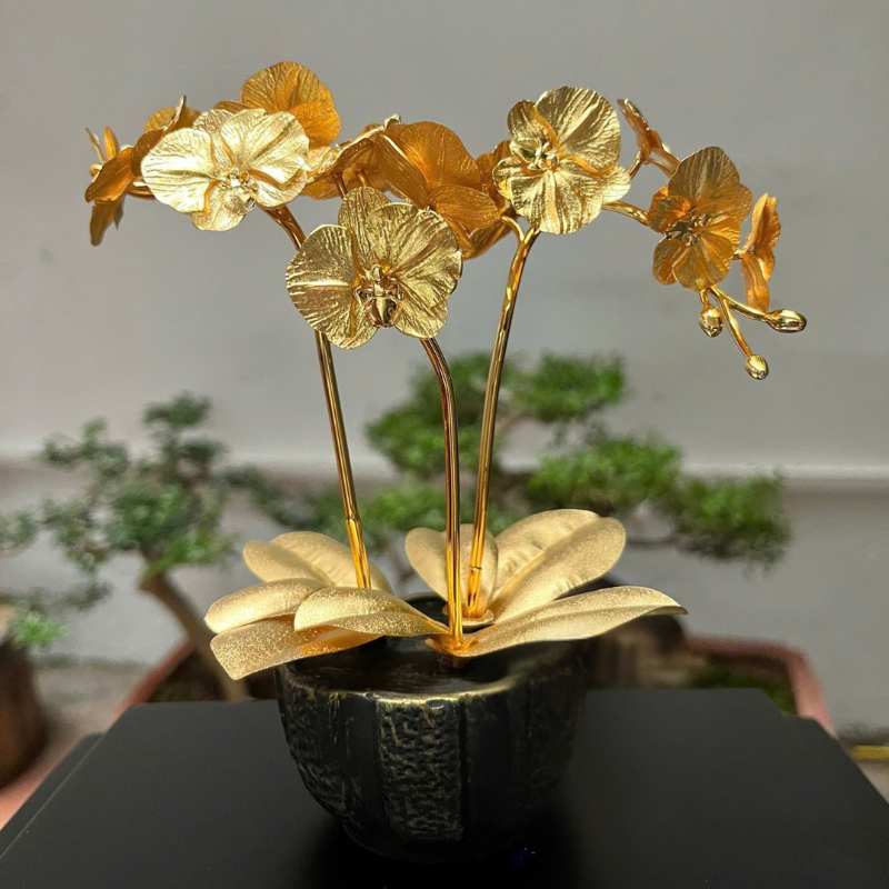 Cây Bonsai Mạ Vàng Cao Cấp Quà Tặng Doanh Nghiệp | QCCPPR07