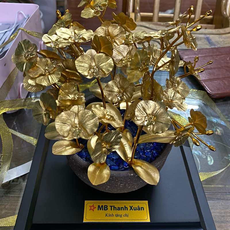 Cây Bonsai Mạ Vàng Cao Cấp Quà Tặng Doanh Nghiệp | QCCPPR07